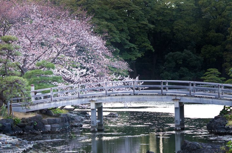 代々木公園で今週末、クラフトビールの祭典「BEERNISTA TOKYO2015」
