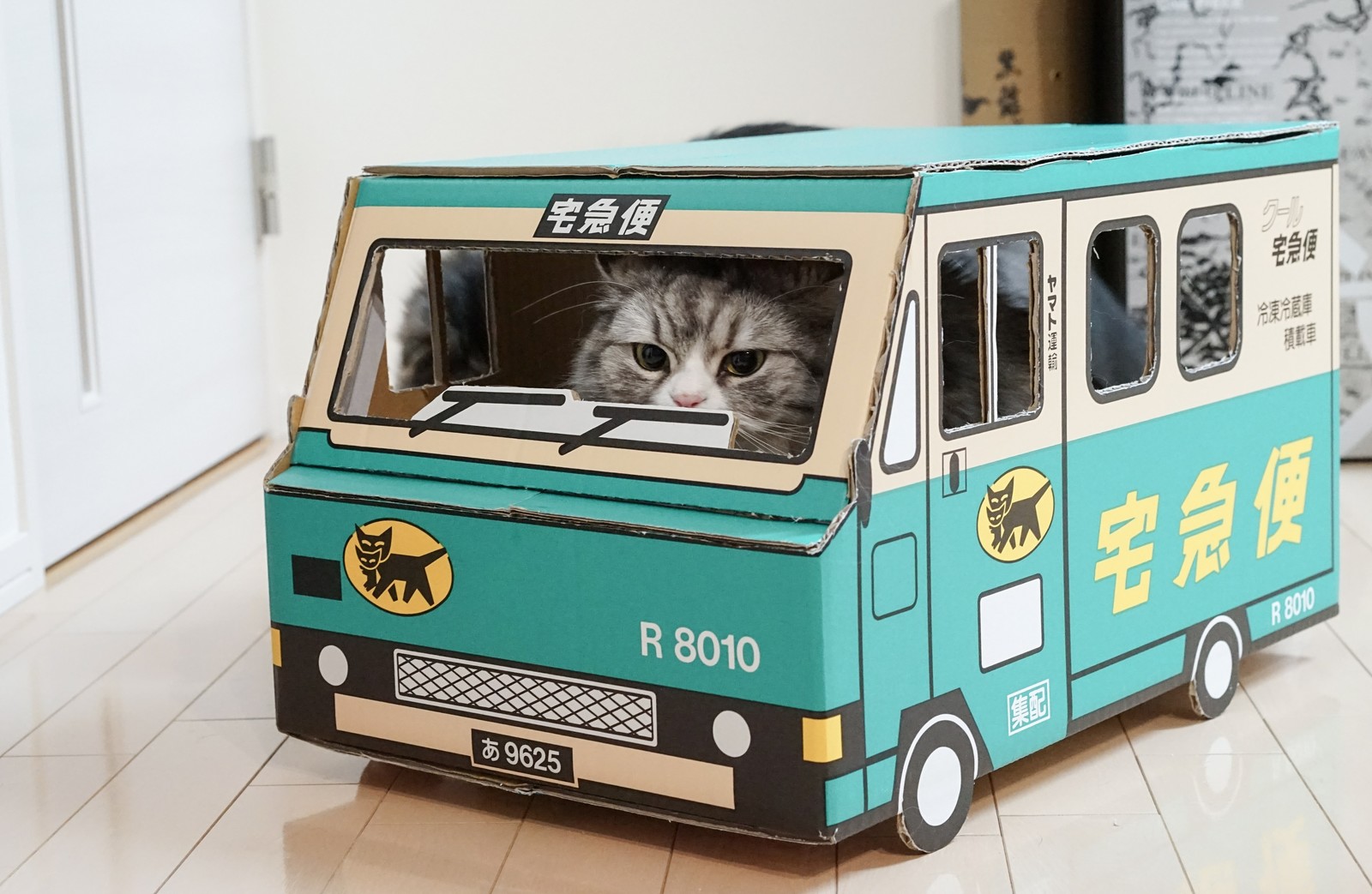 猫のしつけがグンとらくになる3つのポイント