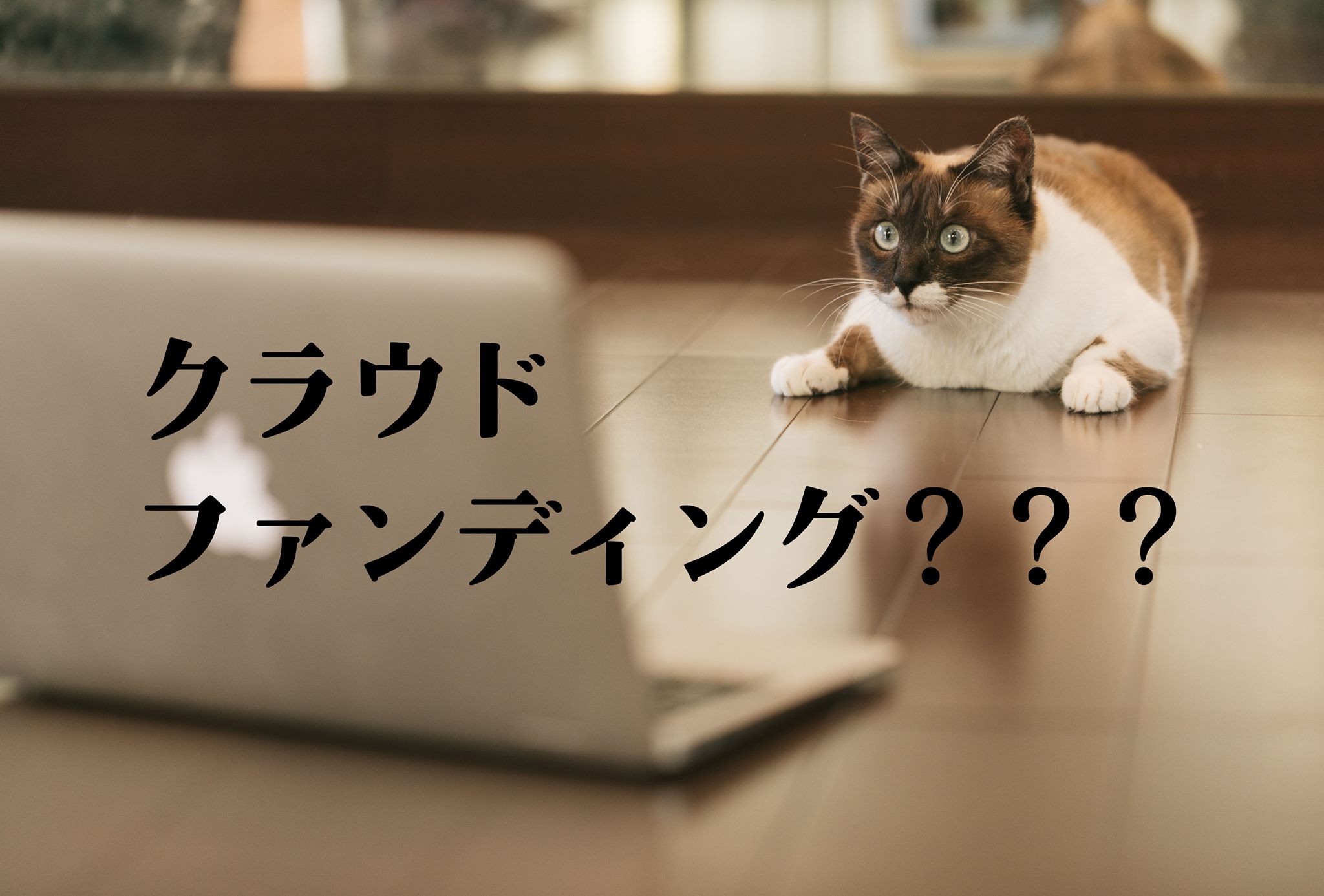 クラウドファンディング(クラファン)って何?まずはポイントを抑えよう!