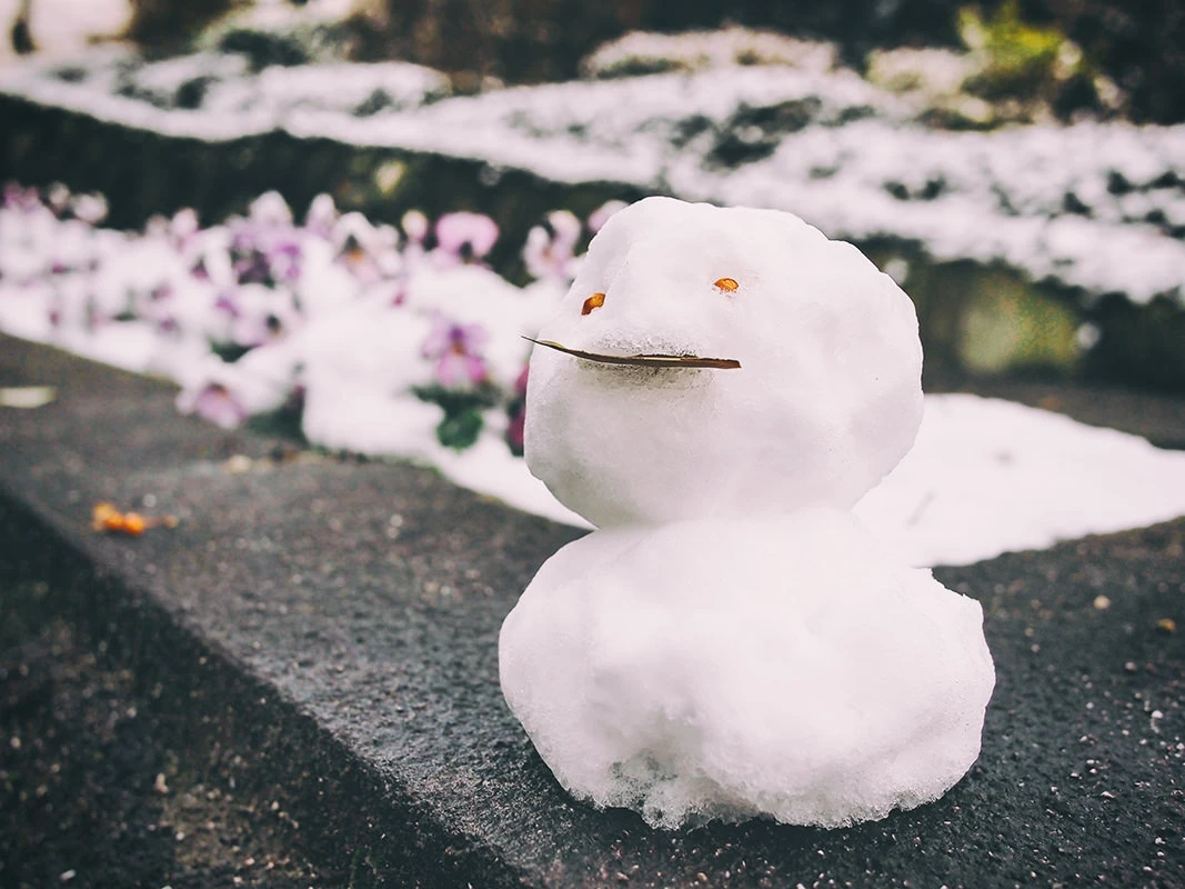 雪の日にそろえておきたい子どものための4点セット+１