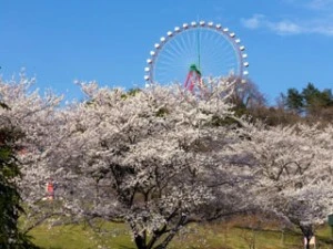 相模湖N