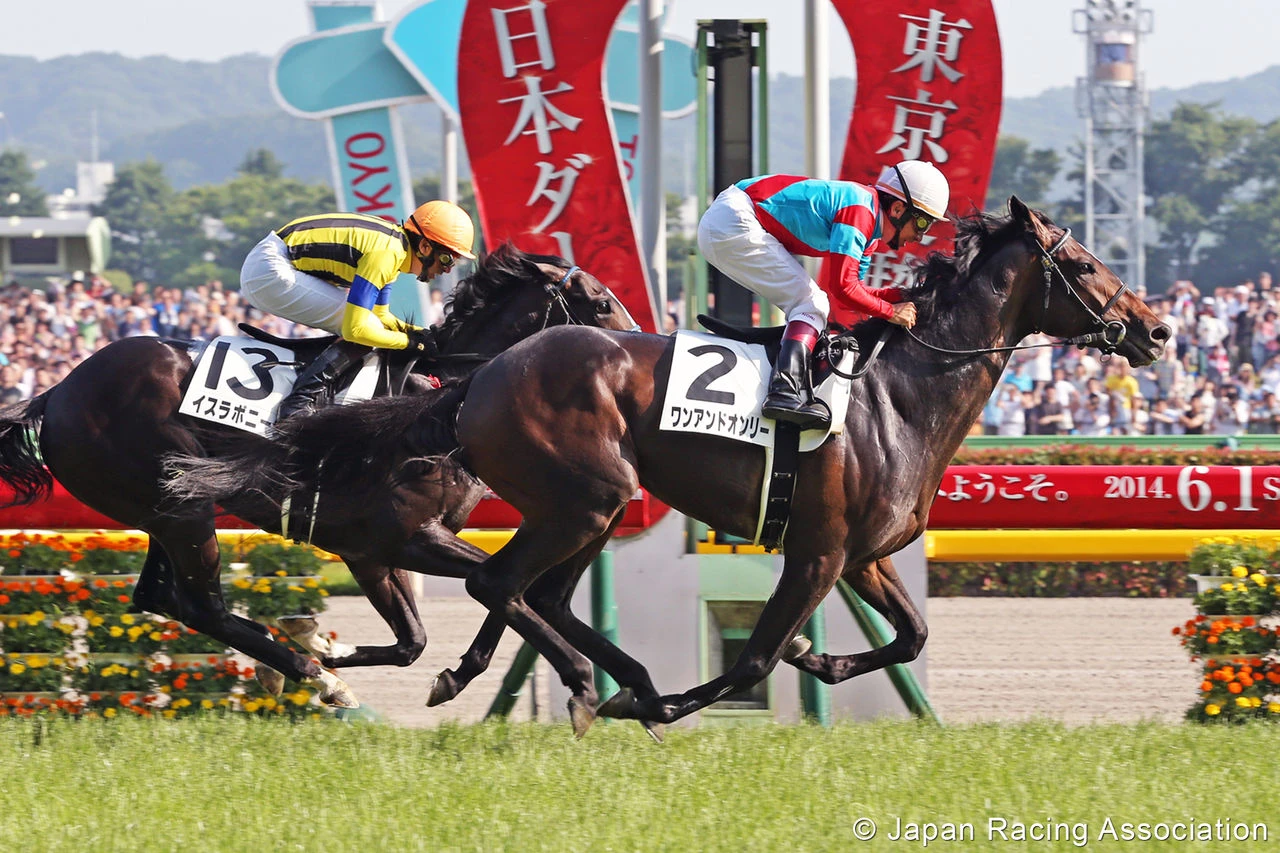 府中春の陣　５月１０日から東京競馬場で５週連続G１ですよ。　　