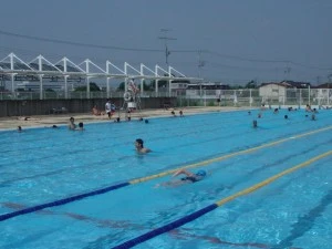 日野