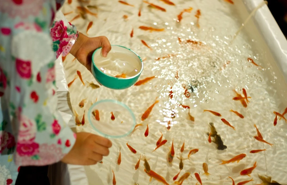 浴衣特典あり！子どもも遊べる縁日　深大寺の夕涼み会