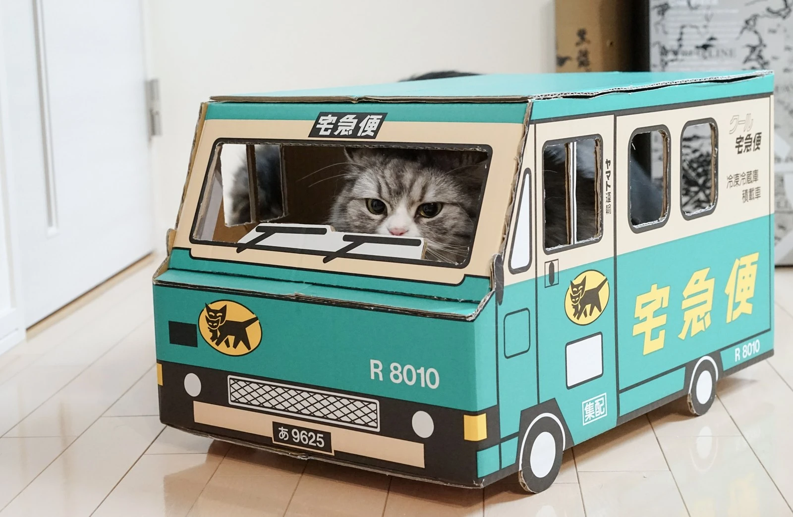 猫のしつけがグンとらくになる３つのポイント